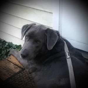 Meet your Posher, Barbara